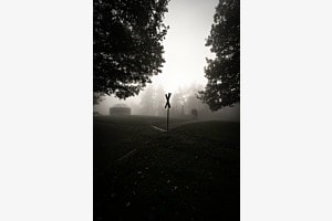 The Mist
