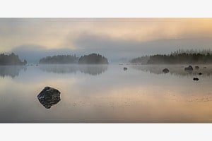 Morgennebel