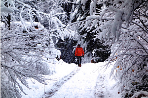 Spaziergang im Schnee