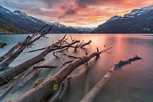 Sonnenaufgang Wychel Brienzersee