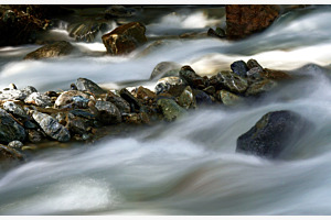 Am Wildbach