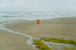 Der einsame Wächter des Strandes Der einsame Wächter des Strandes