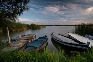 Albufera Naturschutzgebiet mit See, Spanien