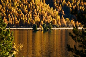 Ruhe am See