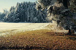 Winterland Winterland