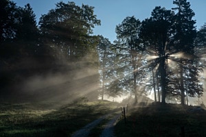 Noch kann sich die Sonne durchsetzen