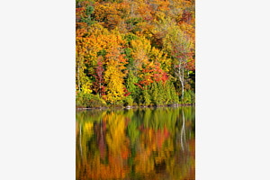 Indian Summer