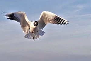 Auf dem Weg zum Fotografen