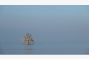 Ile de Peilz
