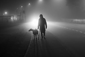 Durch den nebel