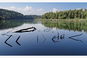 Blickfang am Niederriedstausee