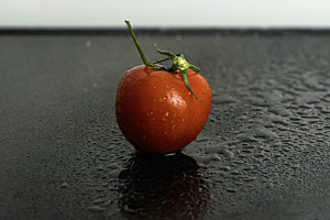 Tomate im Dauerregen