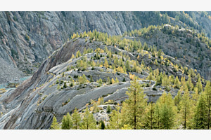 Herbst am Fieschergletscher Herbst am Fieschergletscher