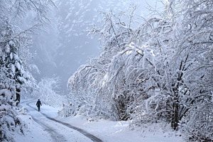 Winterspaziergang