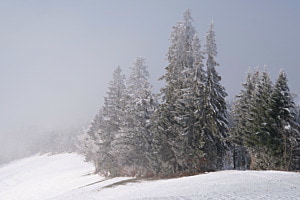 Stiller Wintermorgen