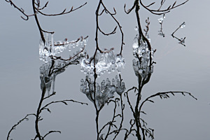 Miroir de glace