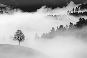 Nebel im Emmental