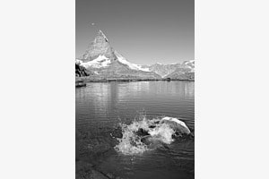 Unter Wasser mit Regenschirm Unter Wasser mit Regenschirm