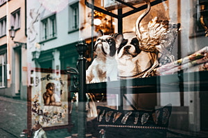 Reflexion Zürich Reflexion Zürich