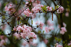 Spring colors