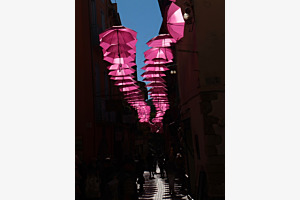 Les parapluies roses
