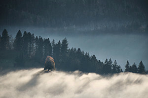 Knapp über der Nebelgrenze