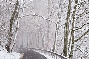 Heftiges Schneetreiben