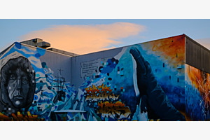 Graffiti