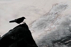 Schritt in den Abgrund Schritt in den Abgrund