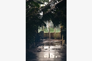 Immersed In The Glasshouse Immersed In The Glasshouse