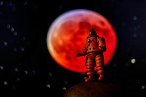 Back to the Moon Back to the Moon