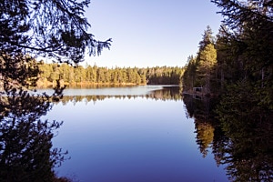 Étang de la Gruère Étang de la Gruère