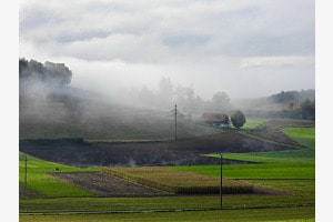 Nebelschwaden im Morgenlicht