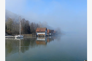 Leichter Nebelschleier am Alpsee im Allgäu