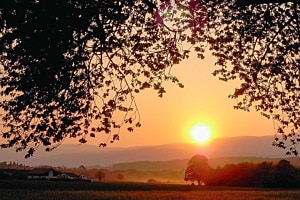 Im Glanz der Abendsonne