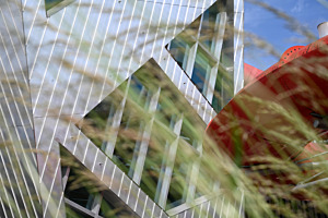nature and the architecture