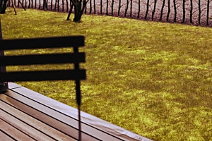 Ohne Titel