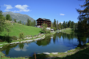 Hotel am See ( Grächen)