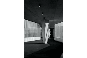 Shadows