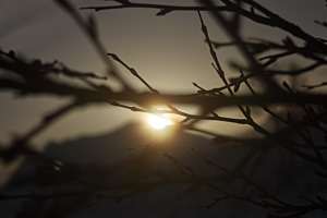 Sonne