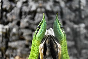 Spieglein Spieglein an der Wand…