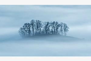 Nebelmeer Nebelmeer