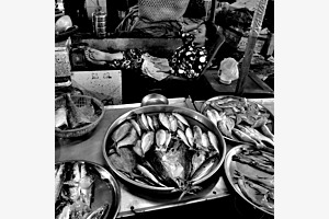 La marchande de poissons