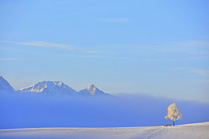 Damals war noch Winter 