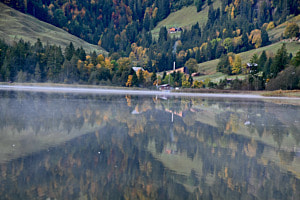 Nebelschwaden im Spiegelbild des Schwarzsee FR