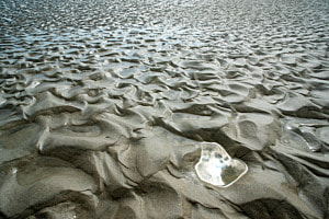 Reflektion