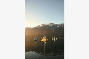 Morgenlicht