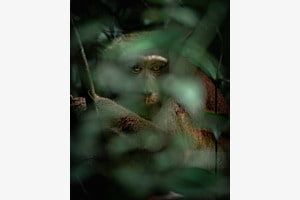 Hidden focus