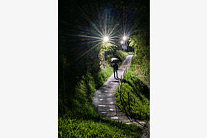 Der Weg