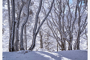 Schnee und Eis